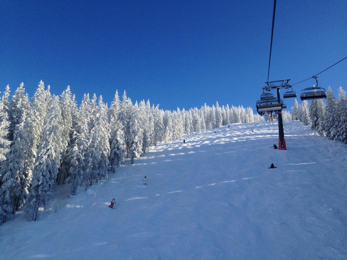 Muhlbach 345B Lägenhet Mühlbach am Hochkönig Exteriör bild